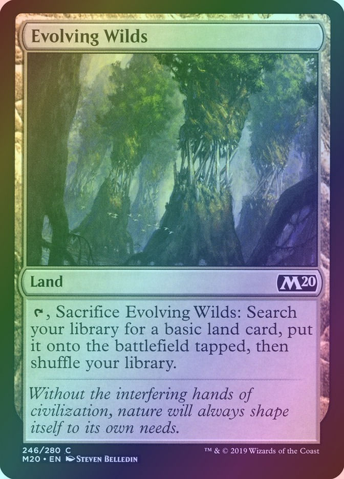 Evolving Wilds (M20) (246) / Foil