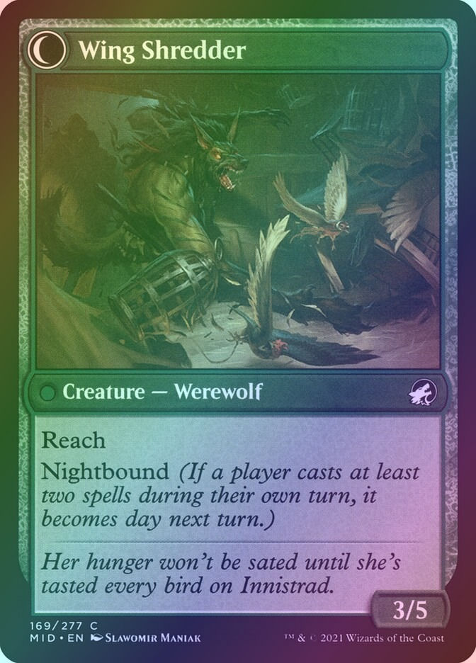 Bird Admirer // Wing Shredder (MID) (169) / Foil — cara 2 de 2