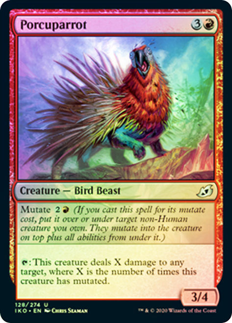 Porcuparrot / Foil