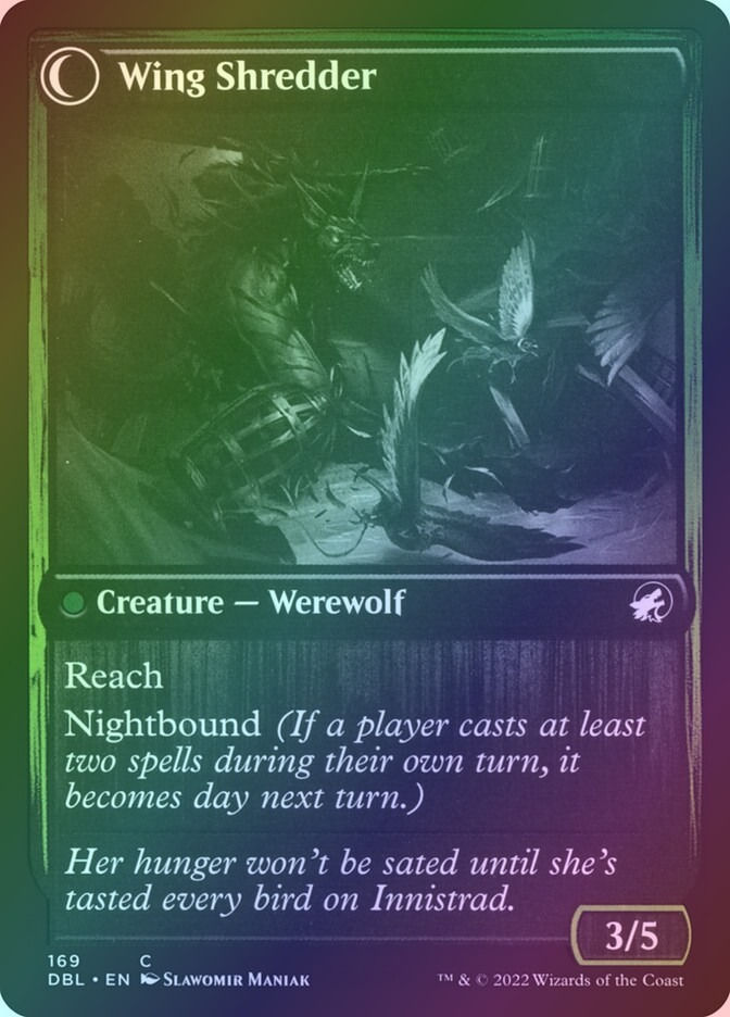 Bird Admirer // Wing Shredder (DBL) (169) / Foil — cara 2 de 2