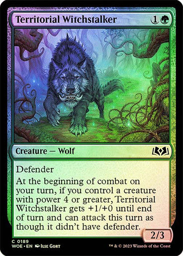 Territorial Witchstalker (woe) / Foil