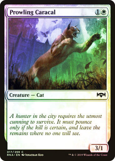 Prowling Caracal (RNA) (17) / Foil