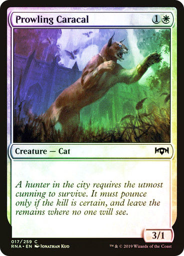 Prowling Caracal (RNA) (17) / Foil