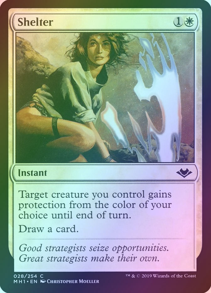 Shelter (MH1) (28) / Foil