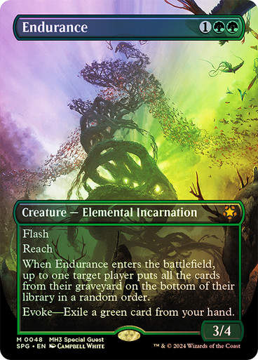 Endurance (spg) (48) / Foil