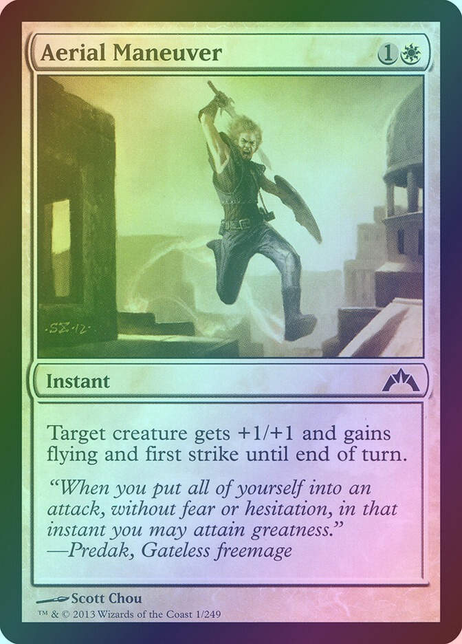 Aerial Maneuver (GTC) (1) / Foil