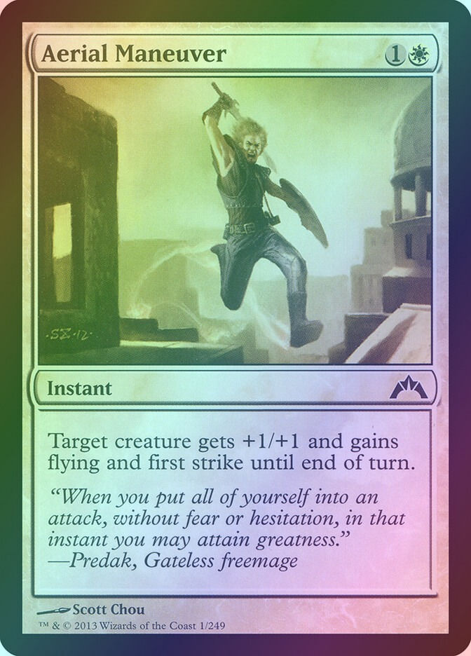 Aerial Maneuver (GTC) (1) / Foil
