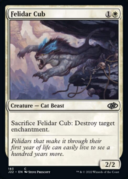 Felidar Cub (J22))