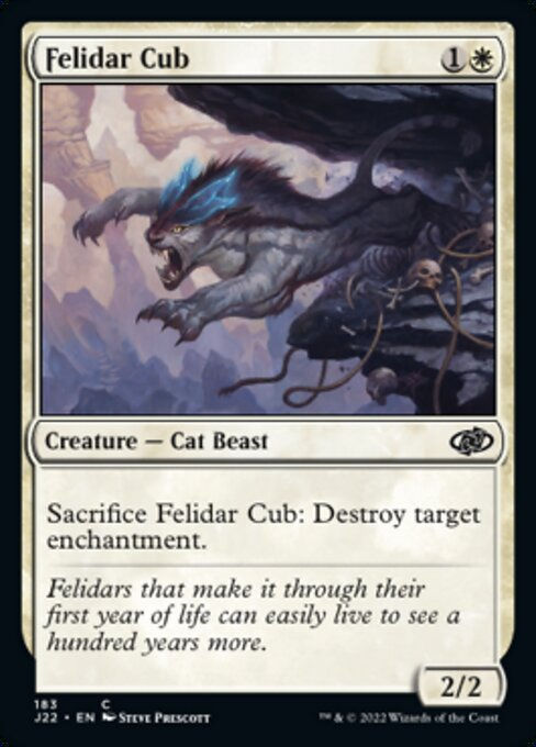 Felidar Cub (J22))