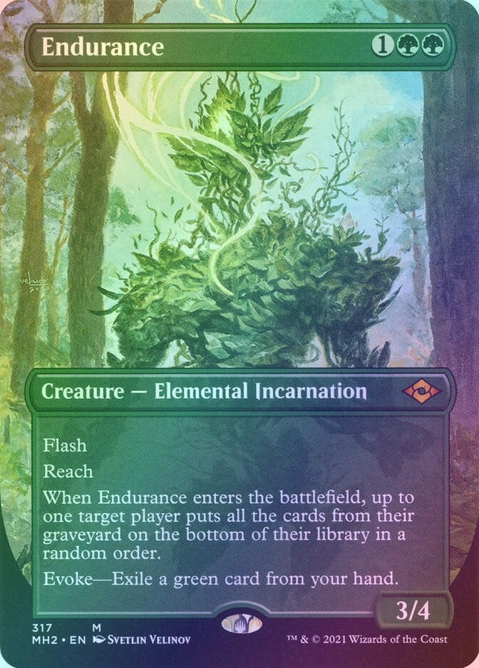 Endurance (MH2) (317) / Borderless / Foil
