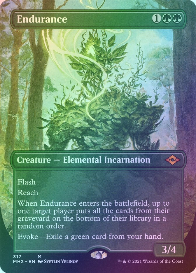 Endurance (MH2) (317) / Borderless / Foil