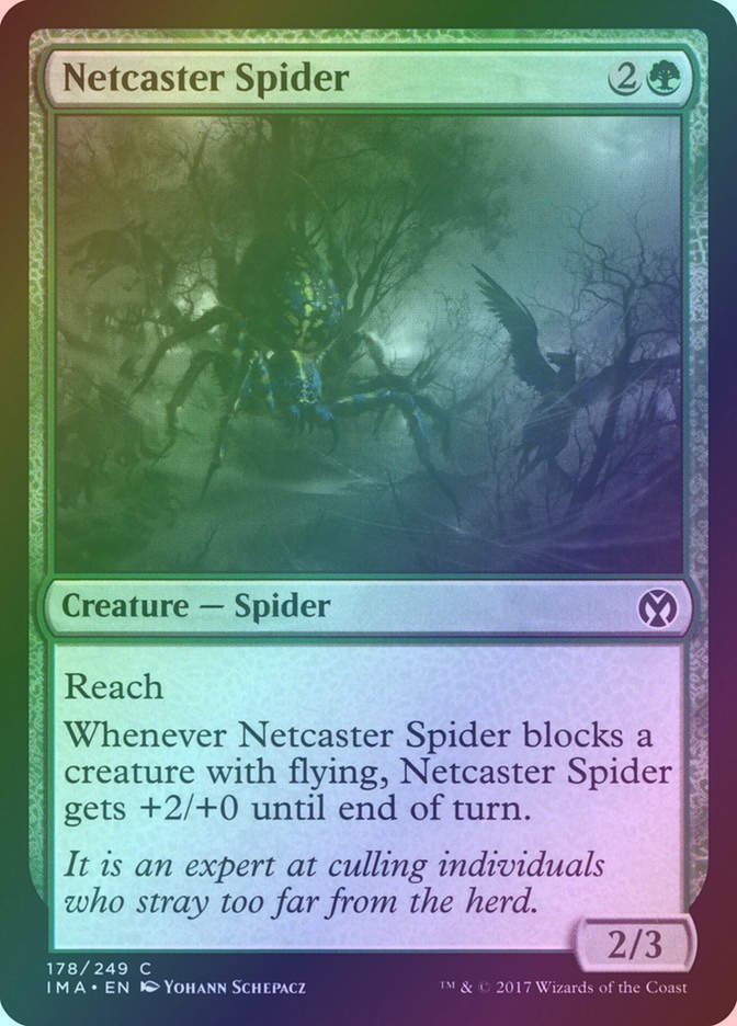 Netcaster Spider (IMA) (178) / Foil