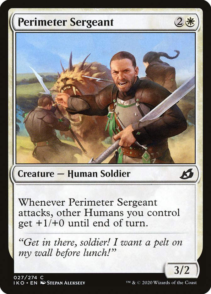 Perimeter Sergeant (IKO) (27)