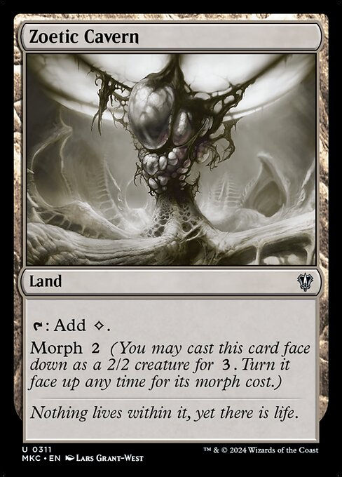 Zoetic Cavern (mkc) (311)