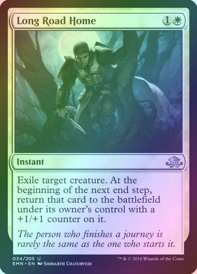 Long Road Home (EMN) (34) / Foil