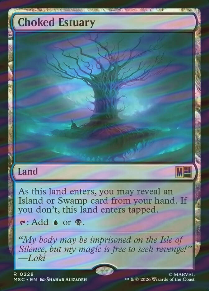 Choked Estuary (MSC) (229) / Surge Foil