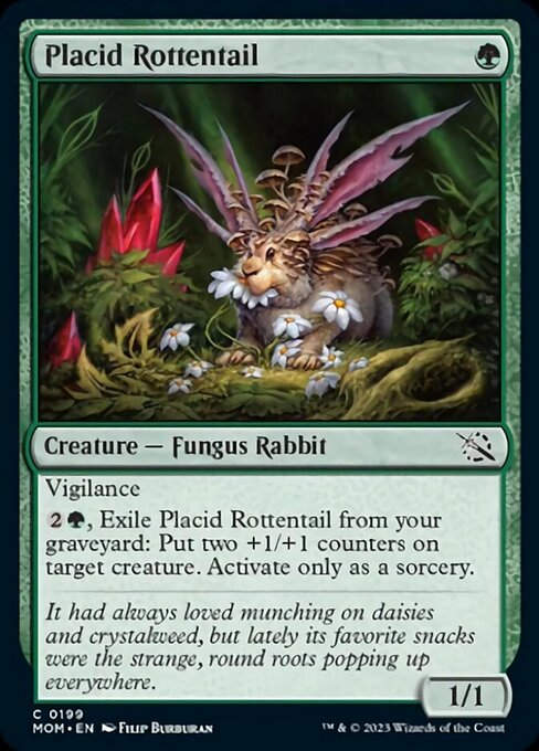 Placid Rottentail (mom)