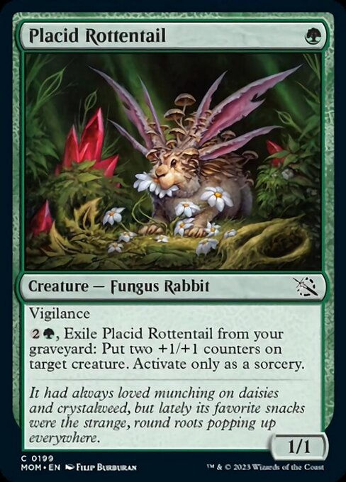 Placid Rottentail (mom)