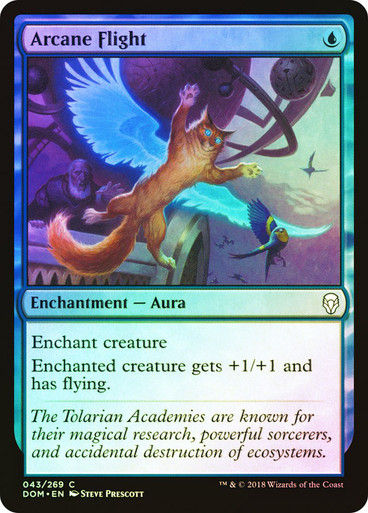 Arcane Flight (DOM) (43) / Foil