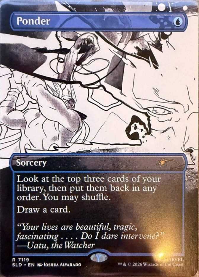 Ponder (SLD) (7119) / Borderless