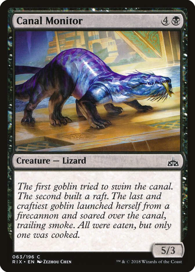 Canal Monitor (RIX) (63)