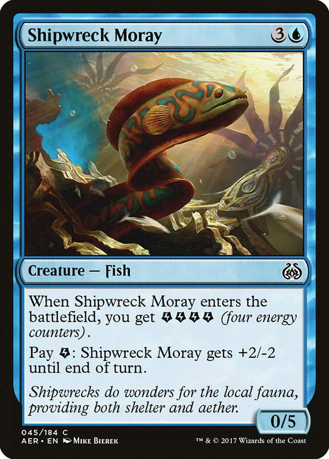 Shipwreck Moray (AER) (45)