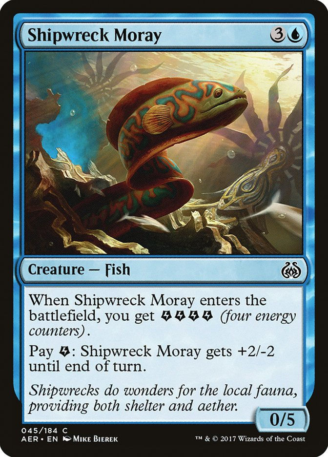 Shipwreck Moray (AER) (45)