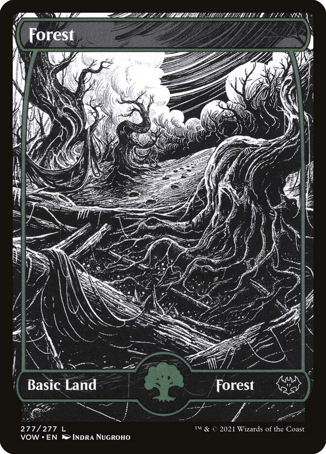 Forest (VOW) (277) / Showcase