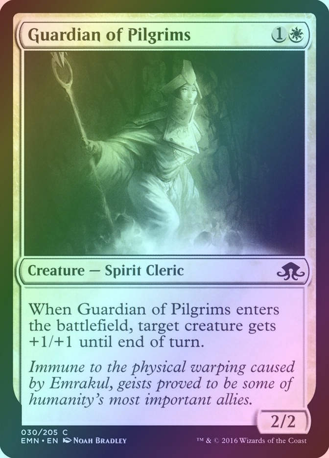Guardian of Pilgrims (EMN) (30) / Foil