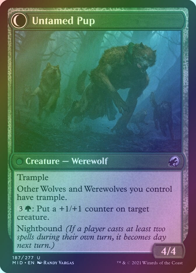 Hound Tamer // Untamed Pup (MID) (187) / Foil — cara 2 de 2