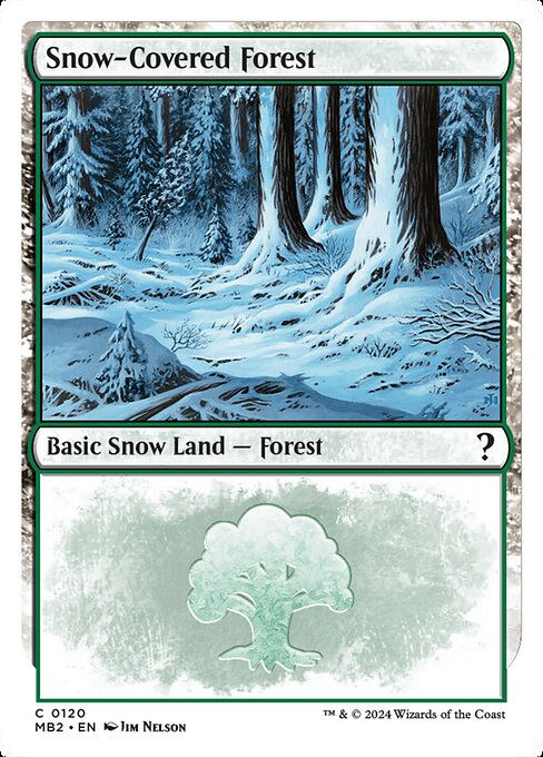 Snow-Covered Forest (MB2) (120)