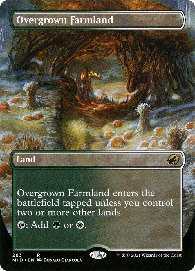 Overgrown Farmland (MID) (283) / Borderless