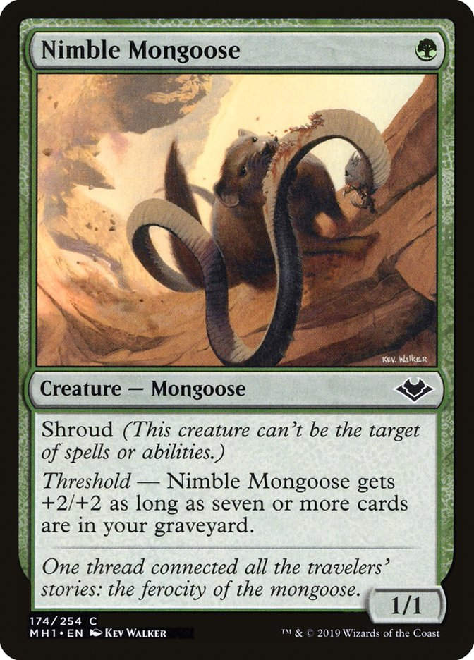 Nimble Mongoose (MH1) (174)