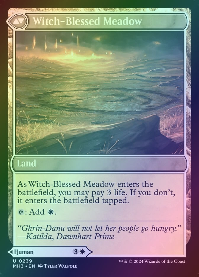 Witch Enchanter // Witch-Blessed Meadow (MH3) (239) / Foil — cara 2 de 2
