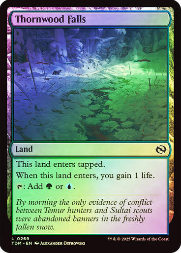 Thornwood Falls (TDM) (269) / Foil