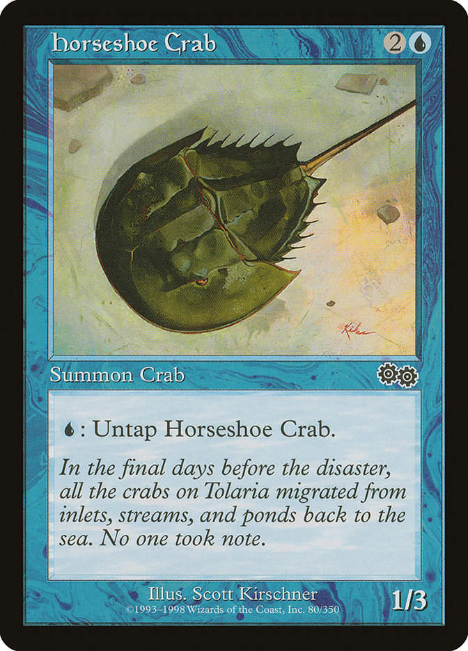 Horseshoe Crab (USG) (80)