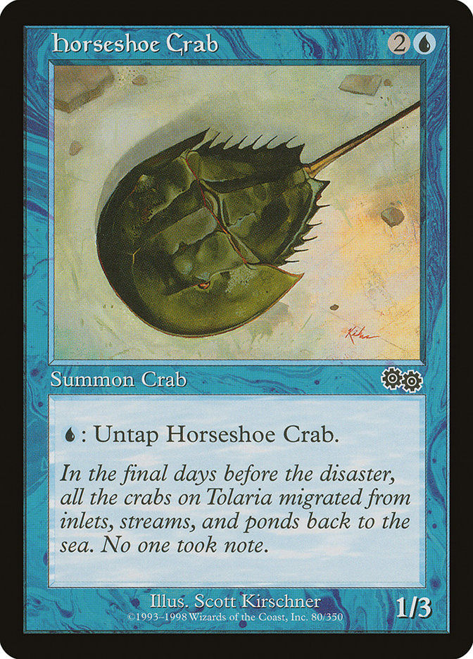 Horseshoe Crab (USG) (80)