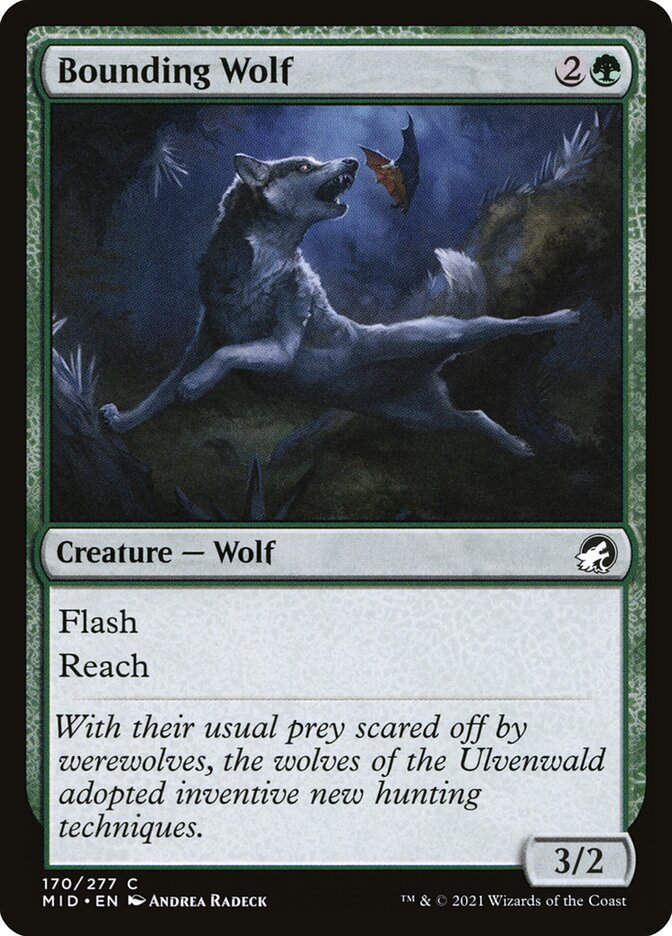 Bounding Wolf (MID) (170)