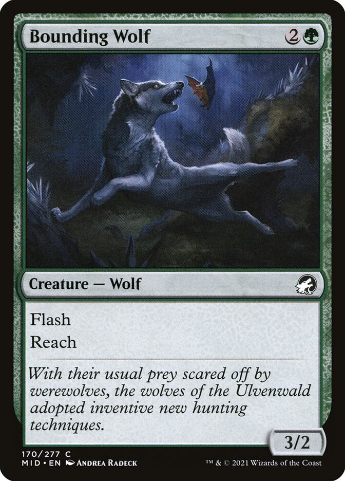 Bounding Wolf (MID) (170)