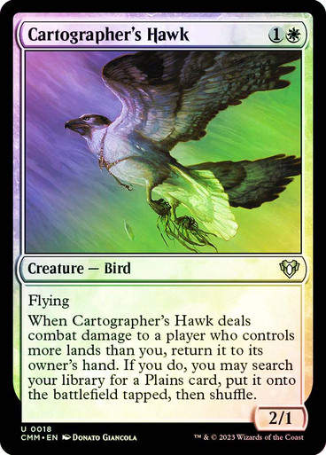 Cartographer's Hawk (cmm) / Foil