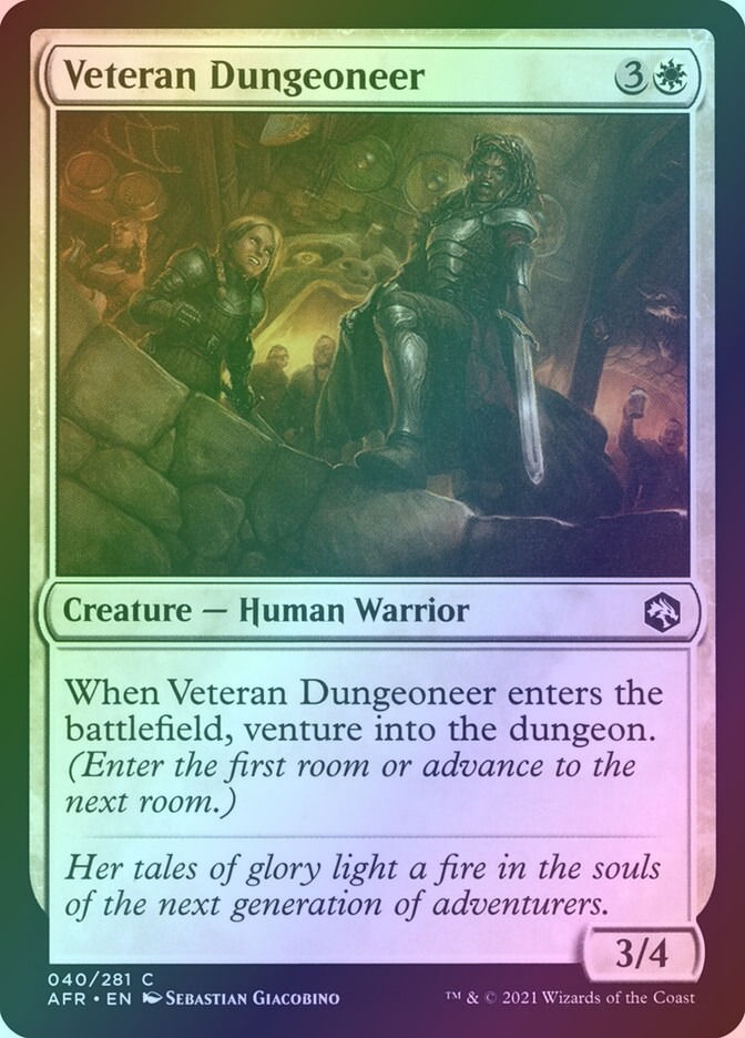 Veteran Dungeoneer (AFR) (40) / Foil