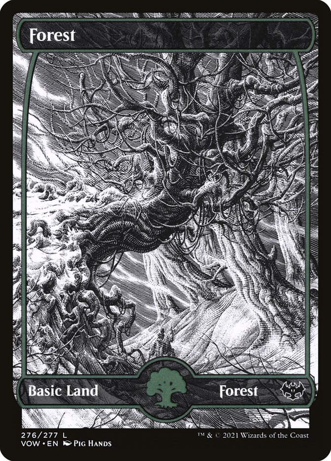 Forest (VOW) (276) / Showcase