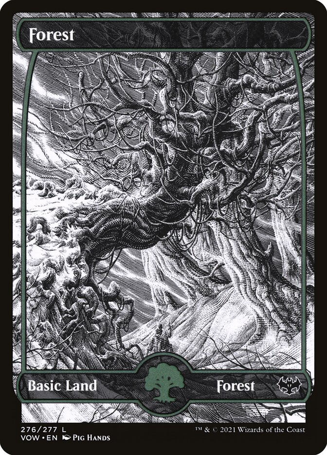Forest (VOW) (276) / Showcase