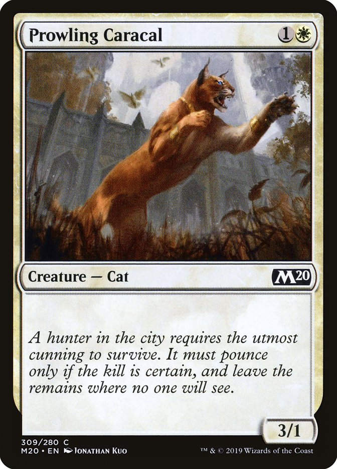Prowling Caracal (M20) (309)