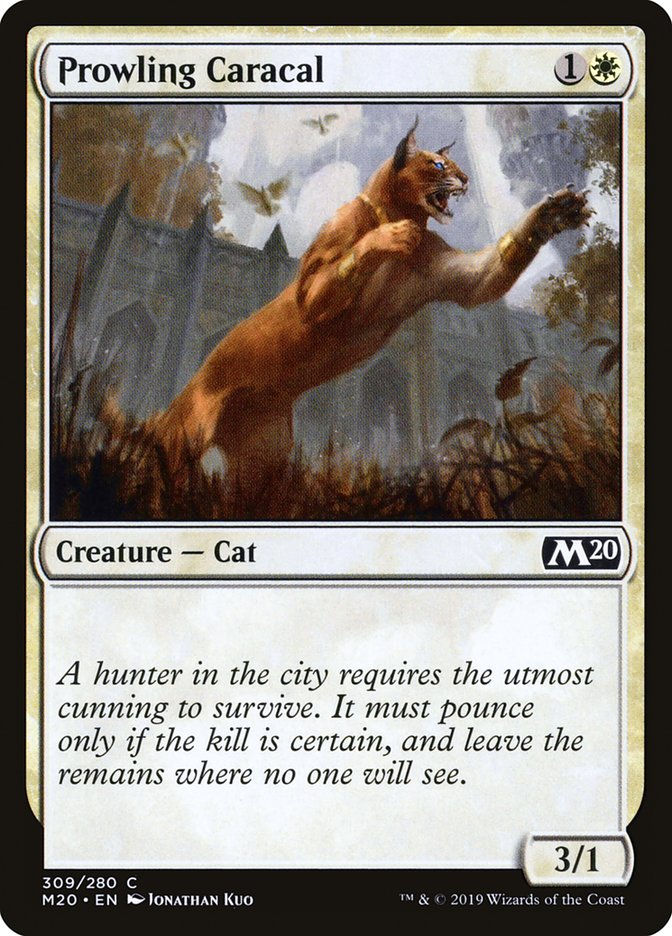 Prowling Caracal (M20) (309)