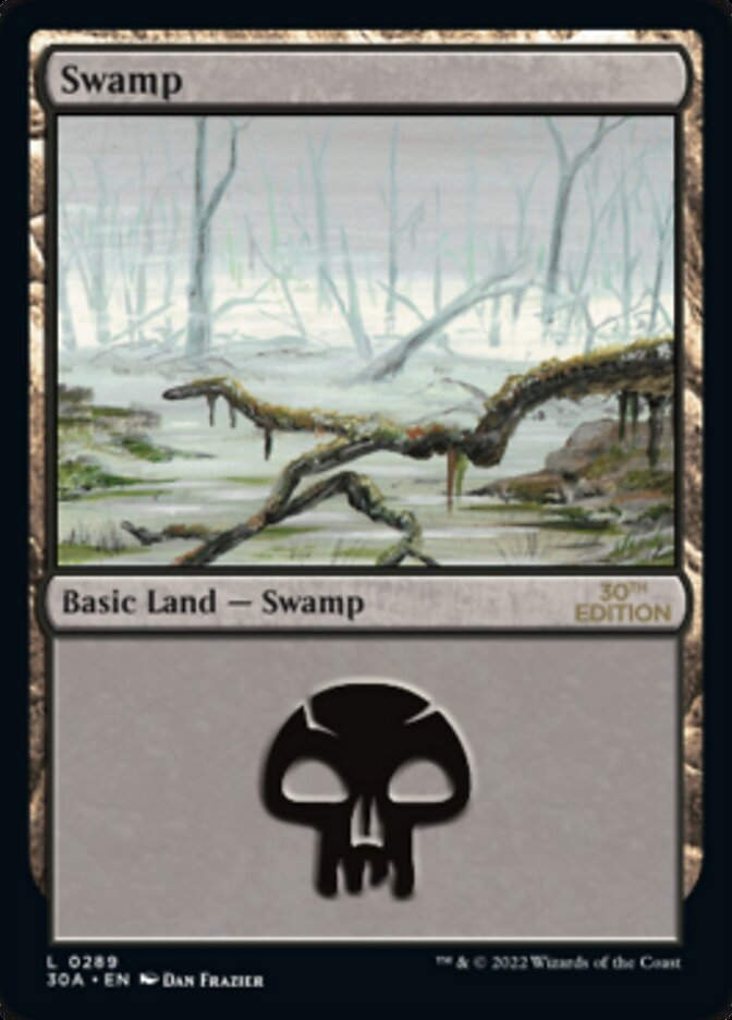 Swamp (30a_289)