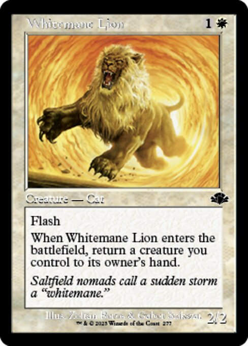 Whitemane Lion (DMR) / Showcase