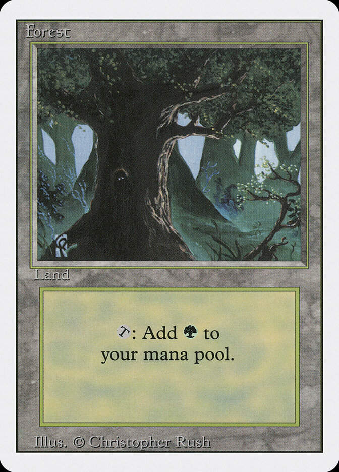 Forest (3ED) (306)