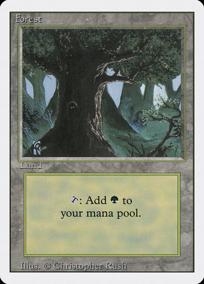 Forest (3ED) (306)