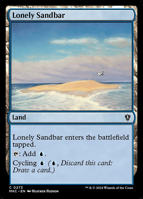 Lonely Sandbar (mkc) (273)